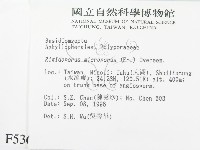 登錄號:F0005367藏品圖，第2張