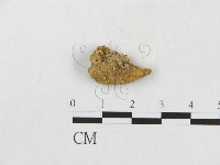 登錄號:F0005367藏品圖，第1張