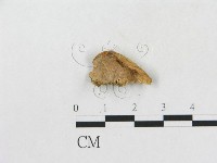 登錄號:F0005367藏品圖，第3張