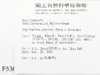 登錄號:F0005368藏品圖，第2張