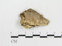 登錄號:F0005368藏品圖，第1張