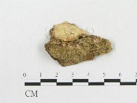 登錄號:F0005368藏品圖，第3張