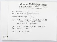登錄號:F0005369藏品圖，第2張