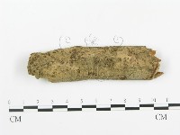 登錄號:F0005369藏品圖，第1張