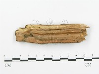 登錄號:F0005369藏品圖，第3張