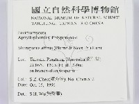 相鄰小孔菌藏品圖，第2張
