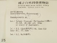 登錄號:F0005371藏品圖，第2張
