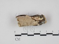 登錄號:F0005371藏品圖，第1張