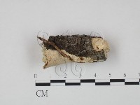 登錄號:F0005371藏品圖，第3張