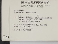 登錄號:F0005372藏品圖，第2張