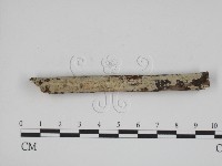 登錄號:F0005372藏品圖，第1張