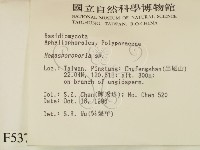 登錄號:F0005373藏品圖，第2張