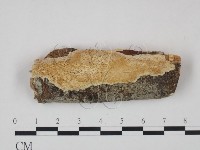 登錄號:F0005373藏品圖，第1張