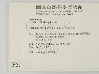登錄號:F0005374藏品圖，第2張