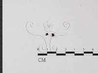 登錄號:F0005375藏品圖，第1張