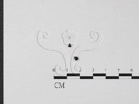 登錄號:F0005375藏品圖，第3張