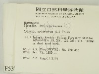 登錄號:F0005376藏品圖，第2張