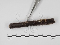 登錄號:F0005378藏品圖，第3張