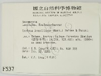 登錄號:F0005379藏品圖，第2張