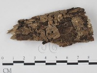 登錄號:F0005379藏品圖，第1張