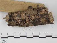 登錄號:F0005379藏品圖，第3張