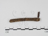 登錄號:F0005380藏品圖，第1張