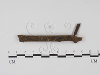 登錄號:F0005380藏品圖，第3張