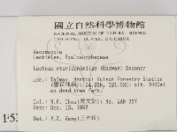 登錄號:F0005381藏品圖，第2張