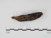 登錄號:F0005382藏品圖，第3張
