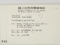 登錄號:F0005384藏品圖，第2張