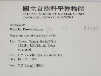 登錄號:F0005385藏品圖，第2張