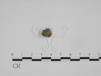 登錄號:F0005385藏品圖，第1張