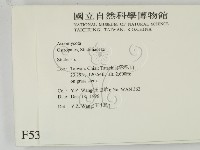 登錄號:F0005386藏品圖，第2張