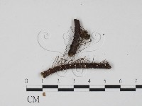 登錄號:F0005386藏品圖，第3張