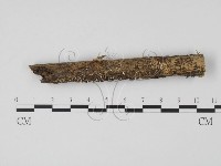 登錄號:F0005387藏品圖，第1張