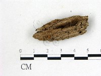 登錄號:F0005388藏品圖，第1張