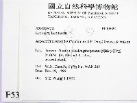 登錄號:F0005391藏品圖，第2張