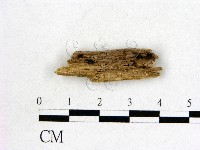 登錄號:F0005391藏品圖，第1張