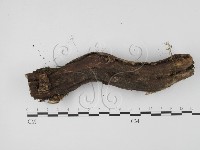 登錄號:F0005395藏品圖，第3張