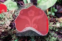 登錄號:F0005395藏品圖，第4張