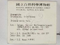 登錄號:F0005400藏品圖，第2張