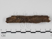 登錄號:F0005401藏品圖，第3張