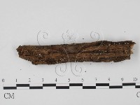 登錄號:F0005401藏品圖，第4張