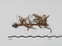 登錄號:F0005402藏品圖，第1張