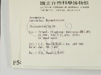 登錄號:F0005403藏品圖，第2張