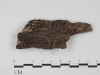 登錄號:F0005403藏品圖，第3張