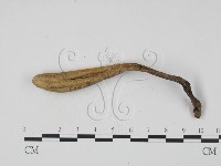 登錄號:F0005406藏品圖，第3張