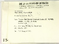 登錄號:F0005407藏品圖，第2張