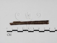 登錄號:F0005408藏品圖，第1張