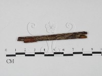 登錄號:F0005408藏品圖，第3張